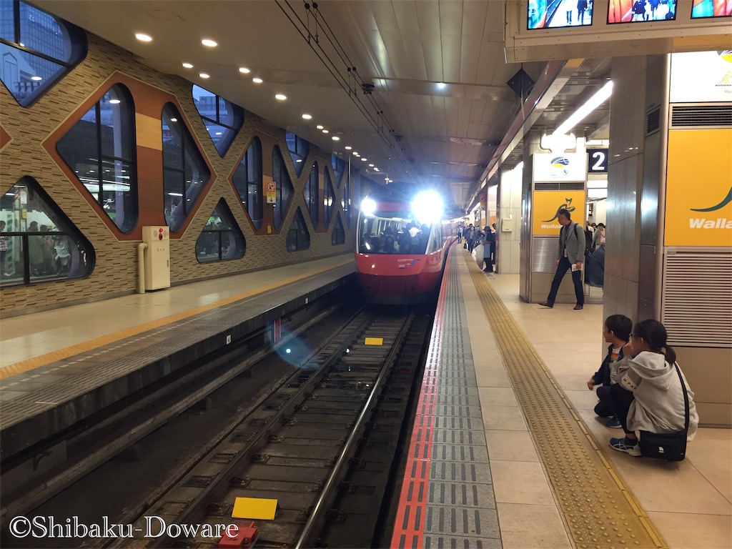 f:id:acsekitori:20191109134530j:image f:id:acsekitori:20191109134530j:image