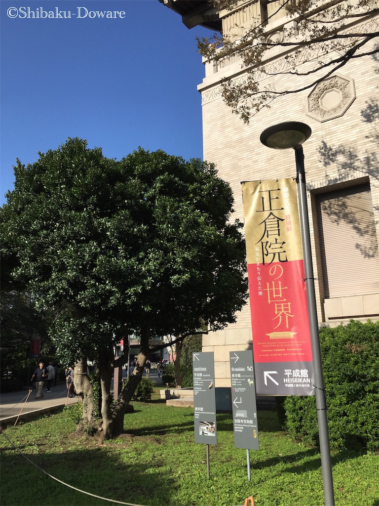 f:id:acsekitori:20191109134610j:image f:id:acsekitori:20191109134610j:image