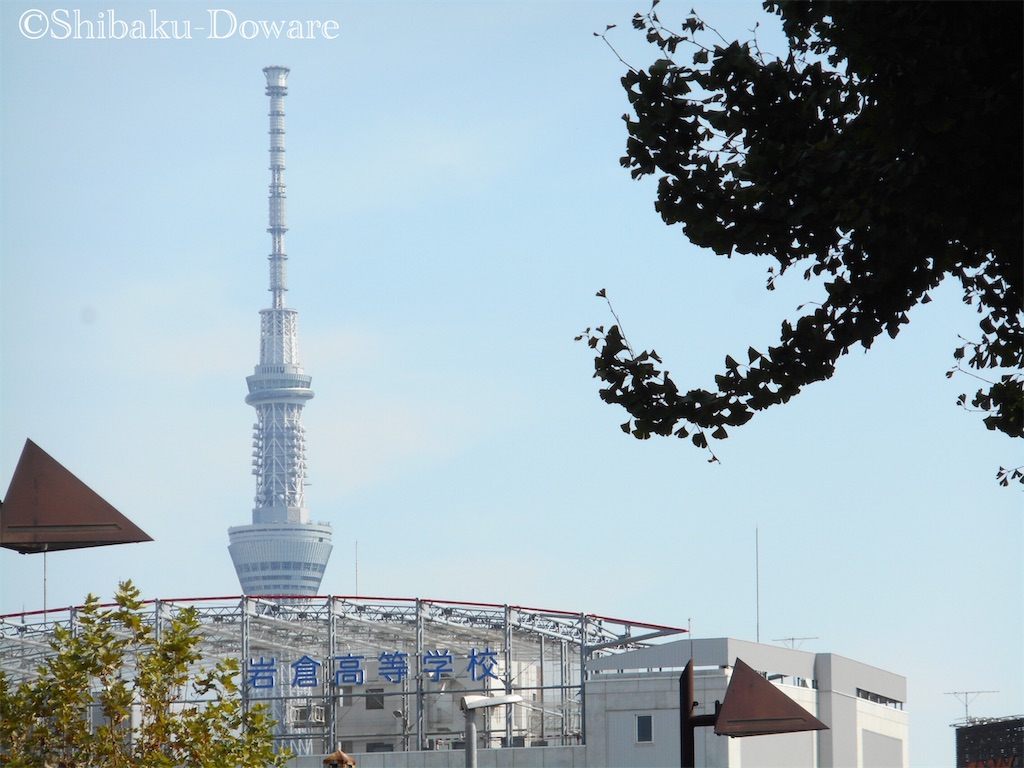 f:id:acsekitori:20191109134620j:image f:id:acsekitori:20191109134620j:image