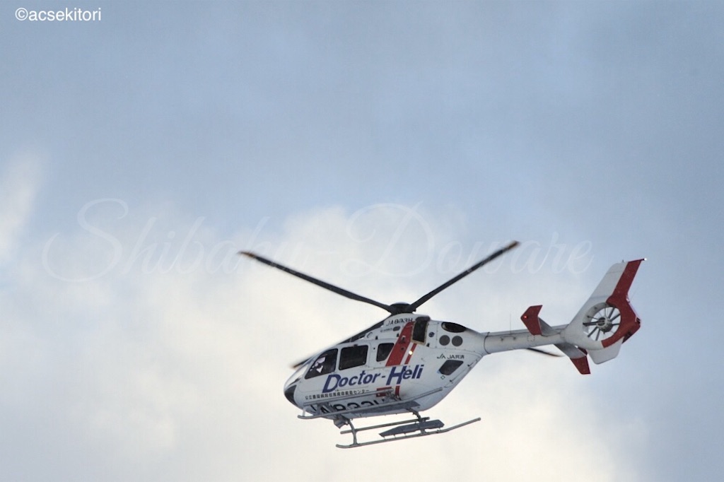 f:id:acsekitori:20191125230050j:image f:id:acsekitori:20191125230050j:image