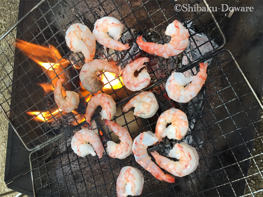 f:id:acsekitori:20191224123748j:image