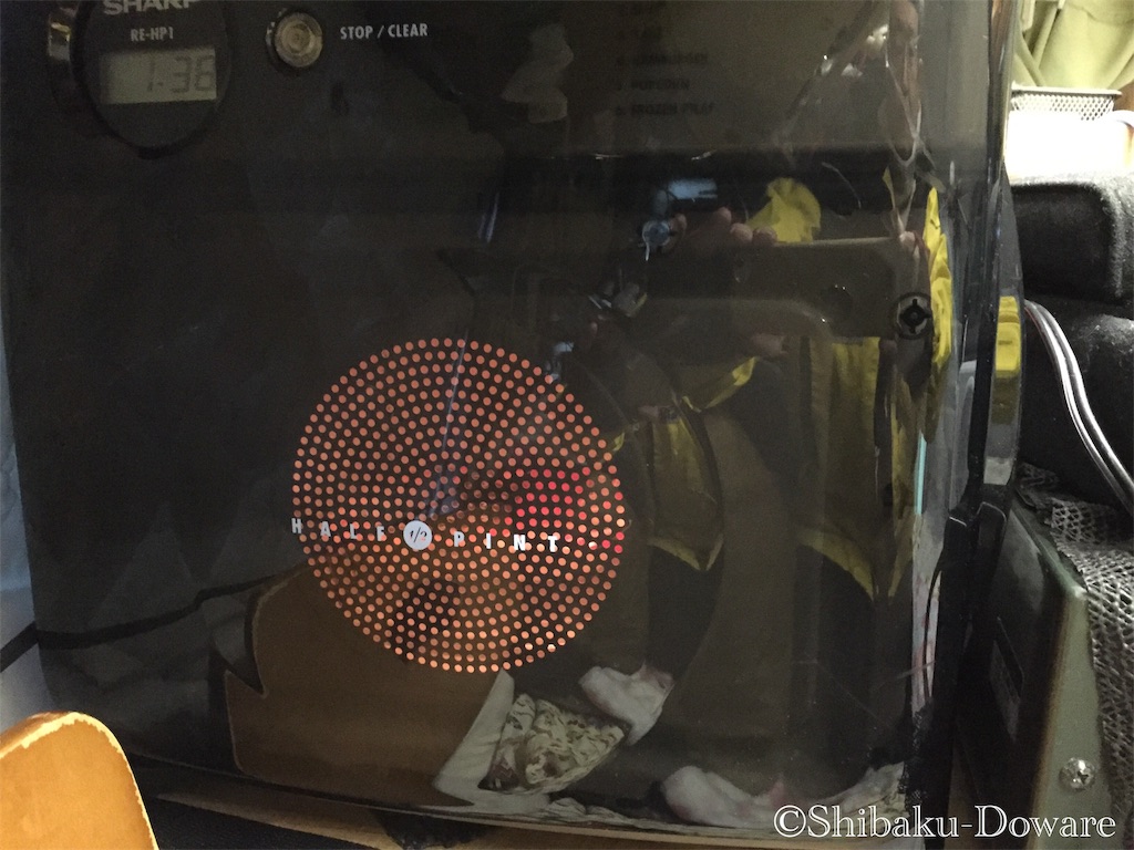 f:id:acsekitori:20191224123804j:image