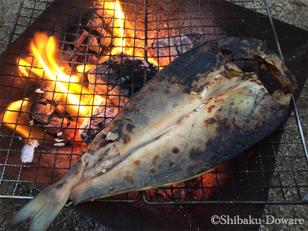 f:id:acsekitori:20191224123844j:image