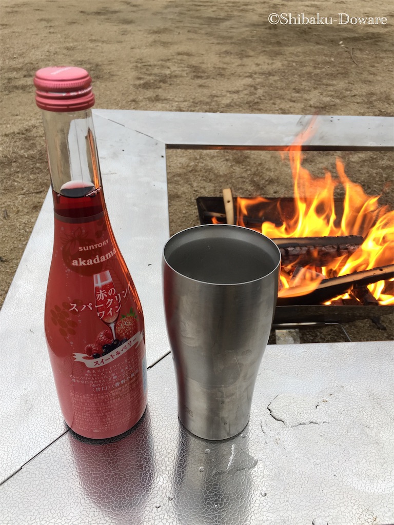 f:id:acsekitori:20191224123924j:image