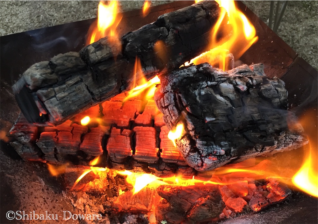 f:id:acsekitori:20191224123931j:image