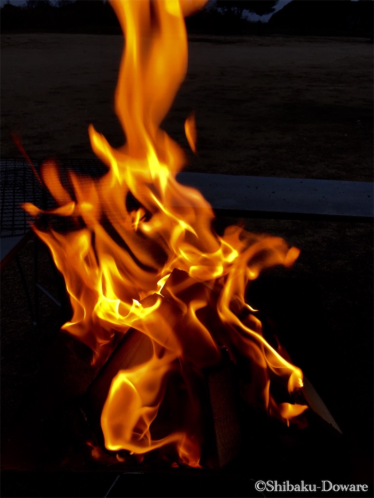 f:id:acsekitori:20191224123944j:image