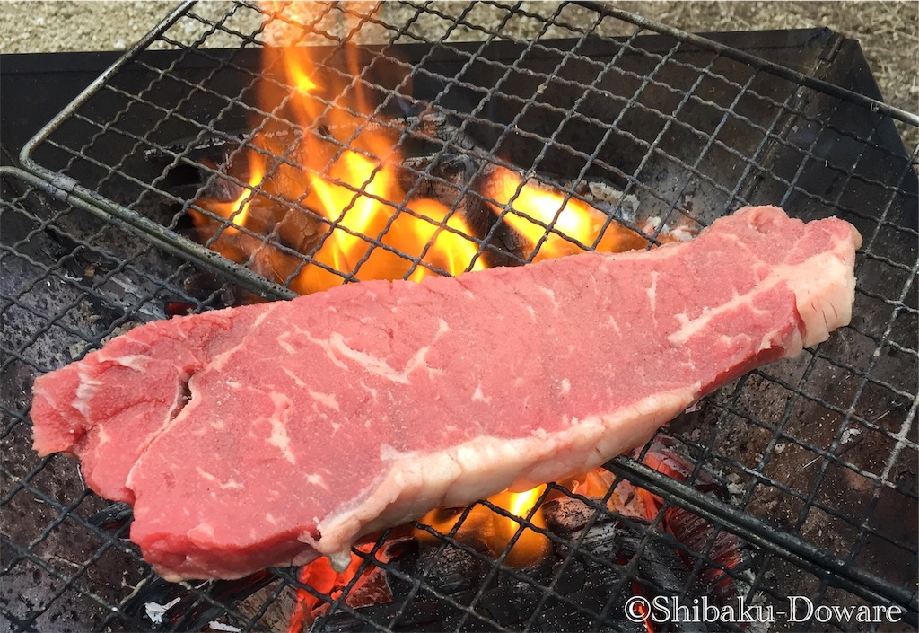 f:id:acsekitori:20191224124004j:image