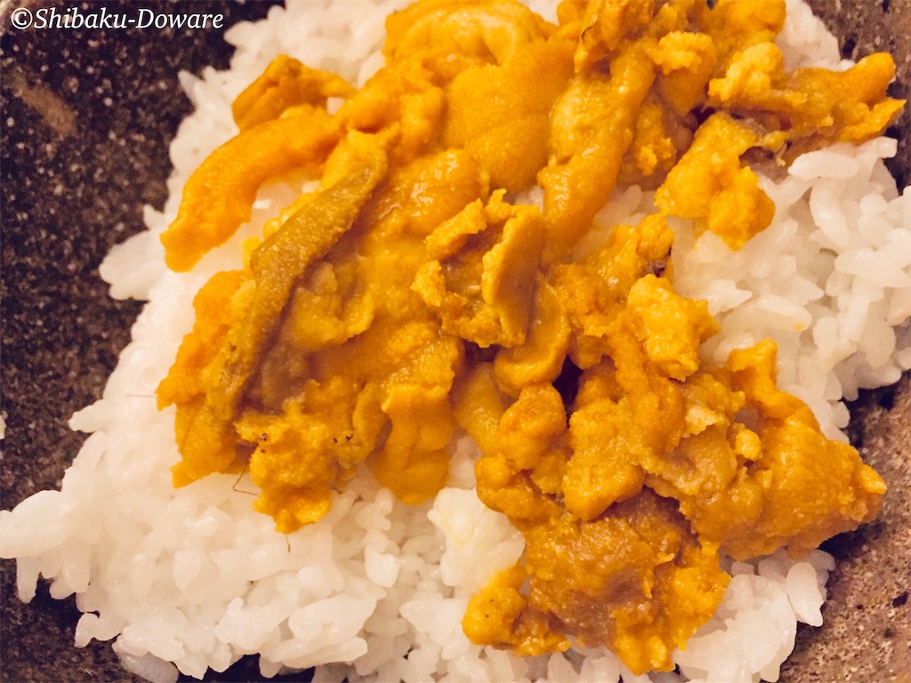 f:id:acsekitori:20191231074901j:image f:id:acsekitori:20191231074901j:image