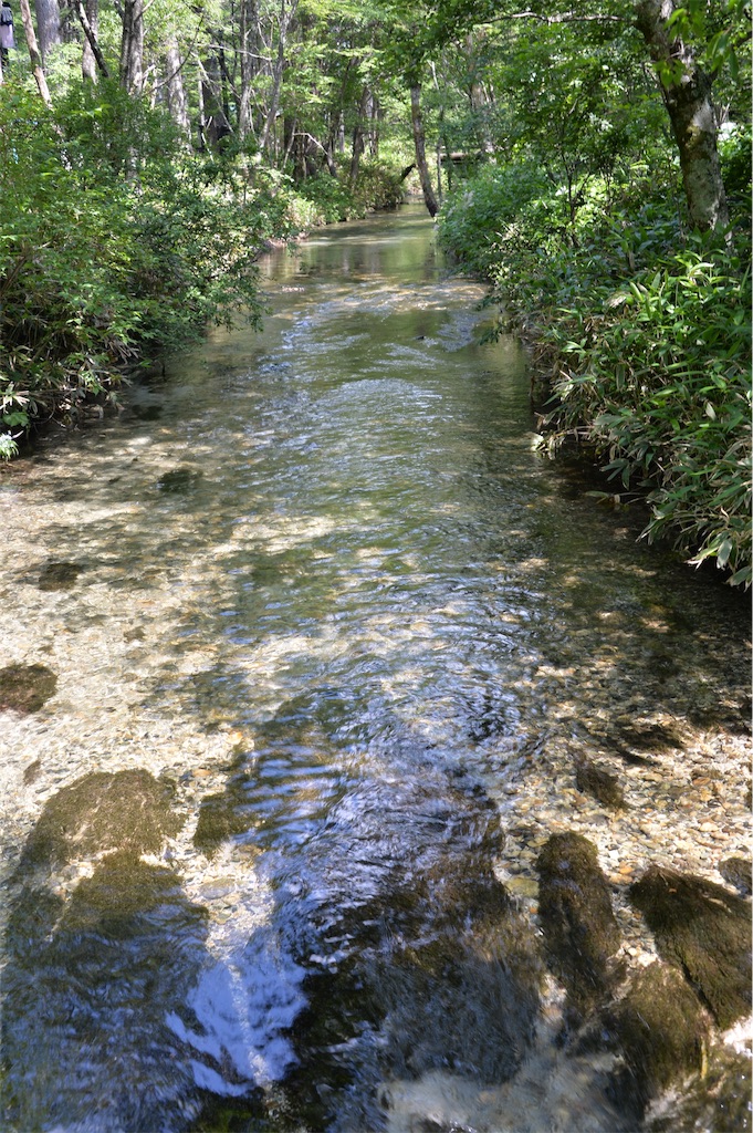 f:id:acsekitori:20191231075807j:image f:id:acsekitori:20191231075807j:image