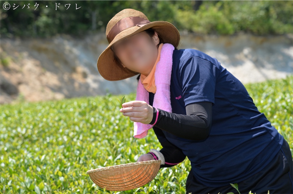 f:id:acsekitori:20191231081011j:image f:id:acsekitori:20191231081011j:image