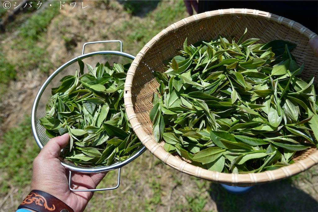 f:id:acsekitori:20191231081025j:image f:id:acsekitori:20191231081025j:image