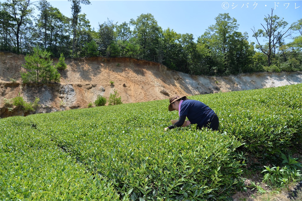 f:id:acsekitori:20191231081034j:image f:id:acsekitori:20191231081034j:image