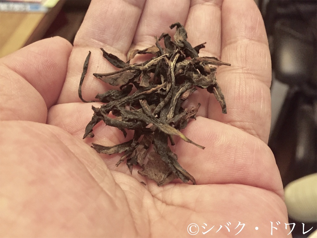 f:id:acsekitori:20191231081046j:image f:id:acsekitori:20191231081046j:image