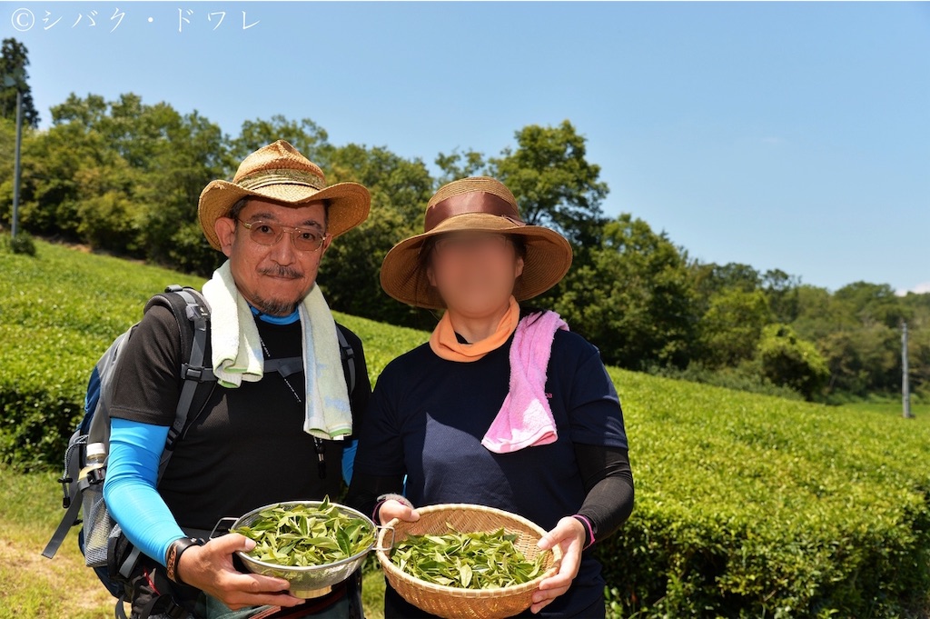 f:id:acsekitori:20191231081049j:image f:id:acsekitori:20191231081049j:image