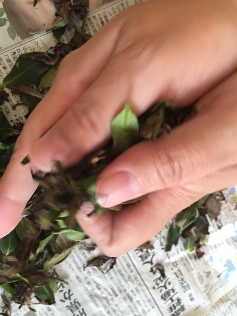 f:id:acsekitori:20191231081054j:image f:id:acsekitori:20191231081054j:image