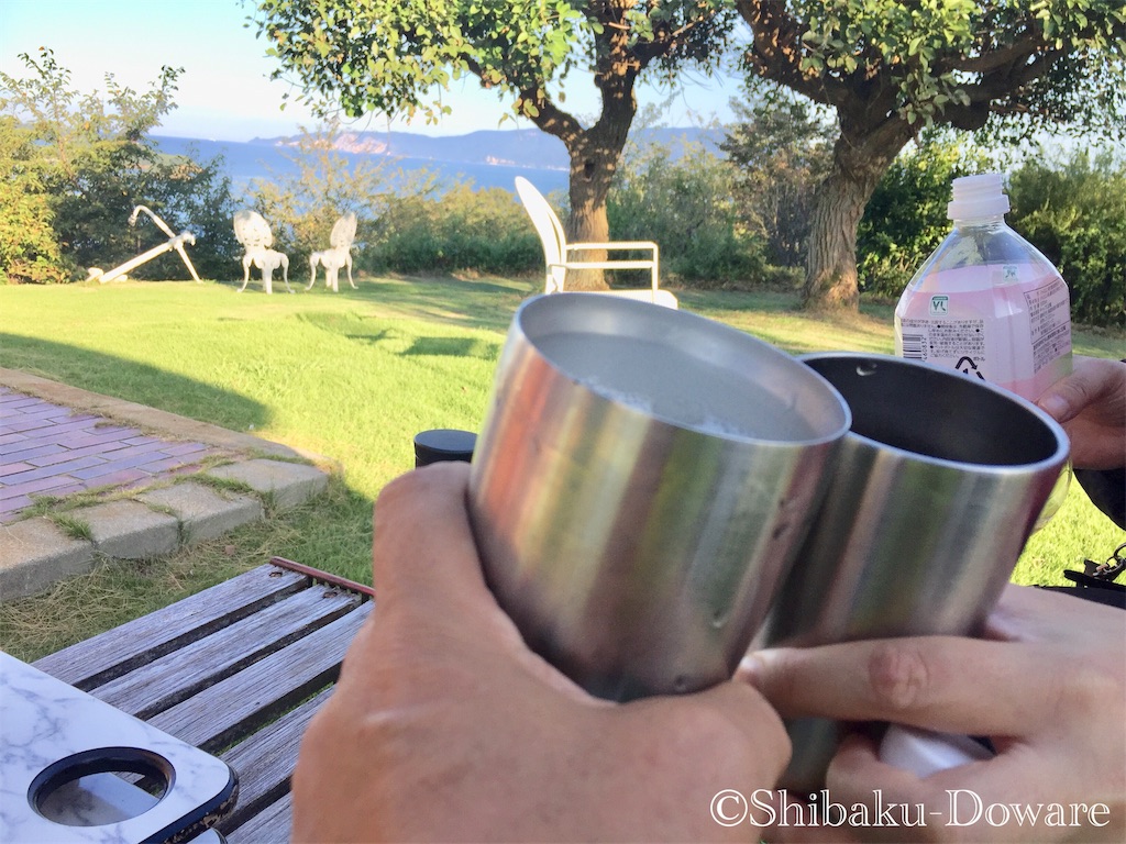 f:id:acsekitori:20191231081955j:image f:id:acsekitori:20191231081955j:image