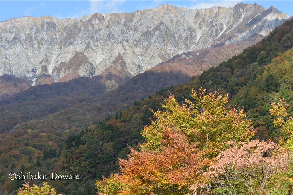 f:id:acsekitori:20191231084154j:image f:id:acsekitori:20191231084154j:image