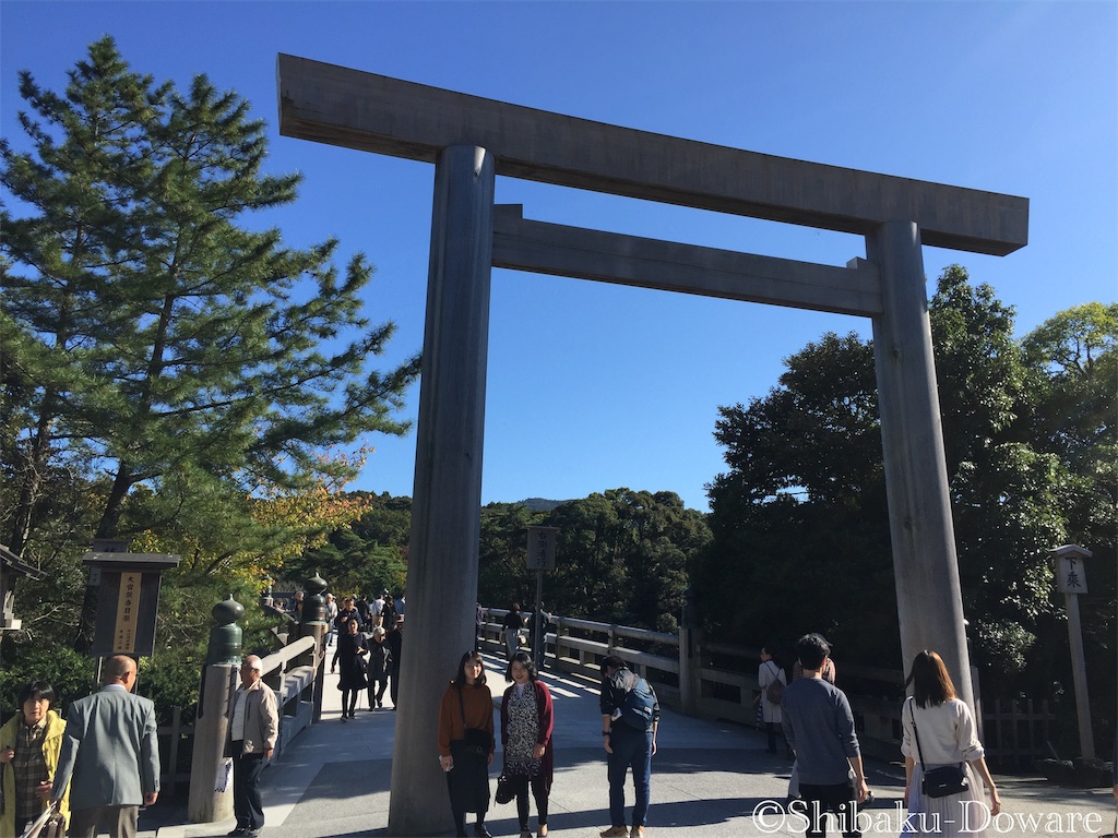 f:id:acsekitori:20191231084206j:image f:id:acsekitori:20191231084206j:image