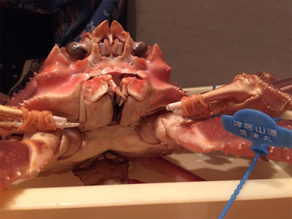 f:id:acsekitori:20191231085743j:image f:id:acsekitori:20191231085743j:image