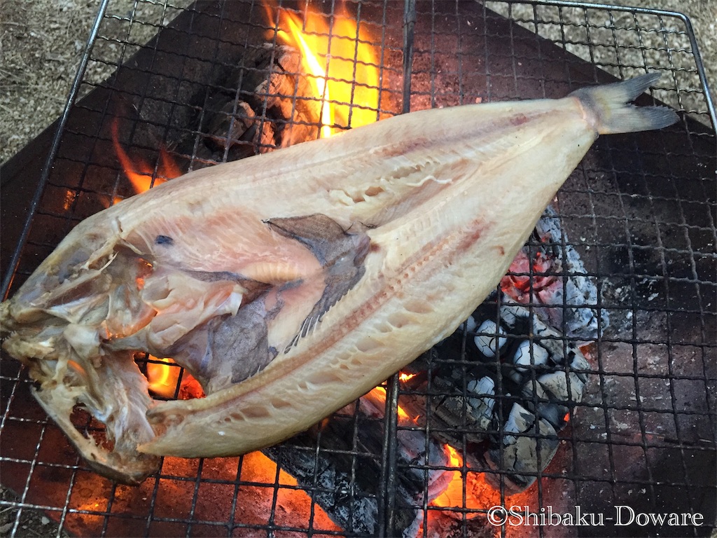 f:id:acsekitori:20191231085805j:image f:id:acsekitori:20191231085805j:image