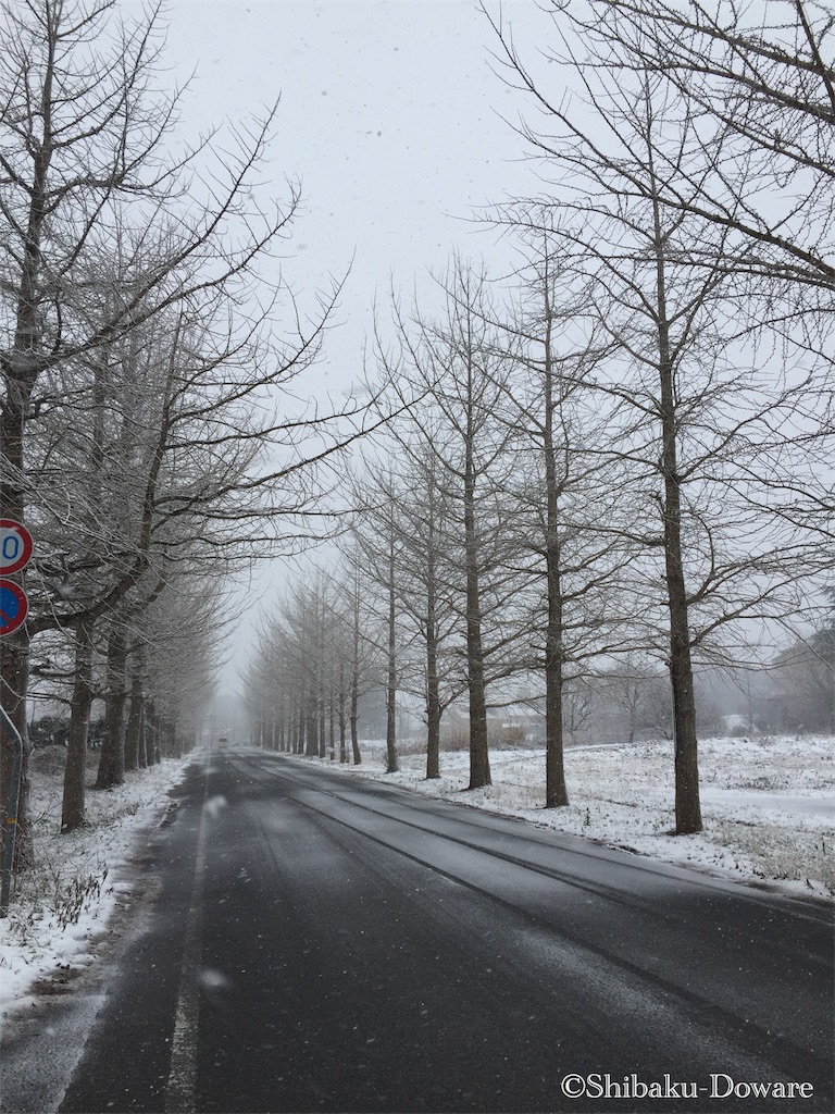 f:id:acsekitori:20200206063921j:image