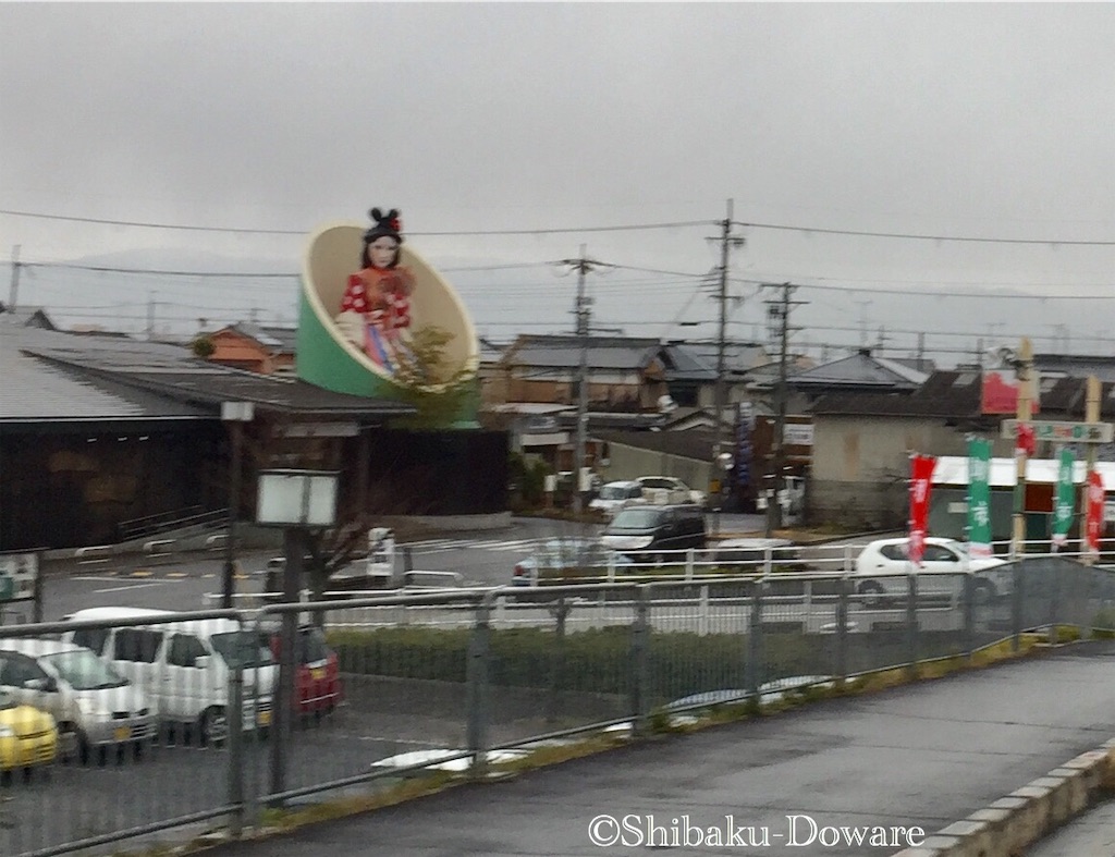 f:id:acsekitori:20200219100134j:image