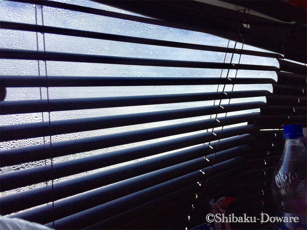 f:id:acsekitori:20200219100835j:image