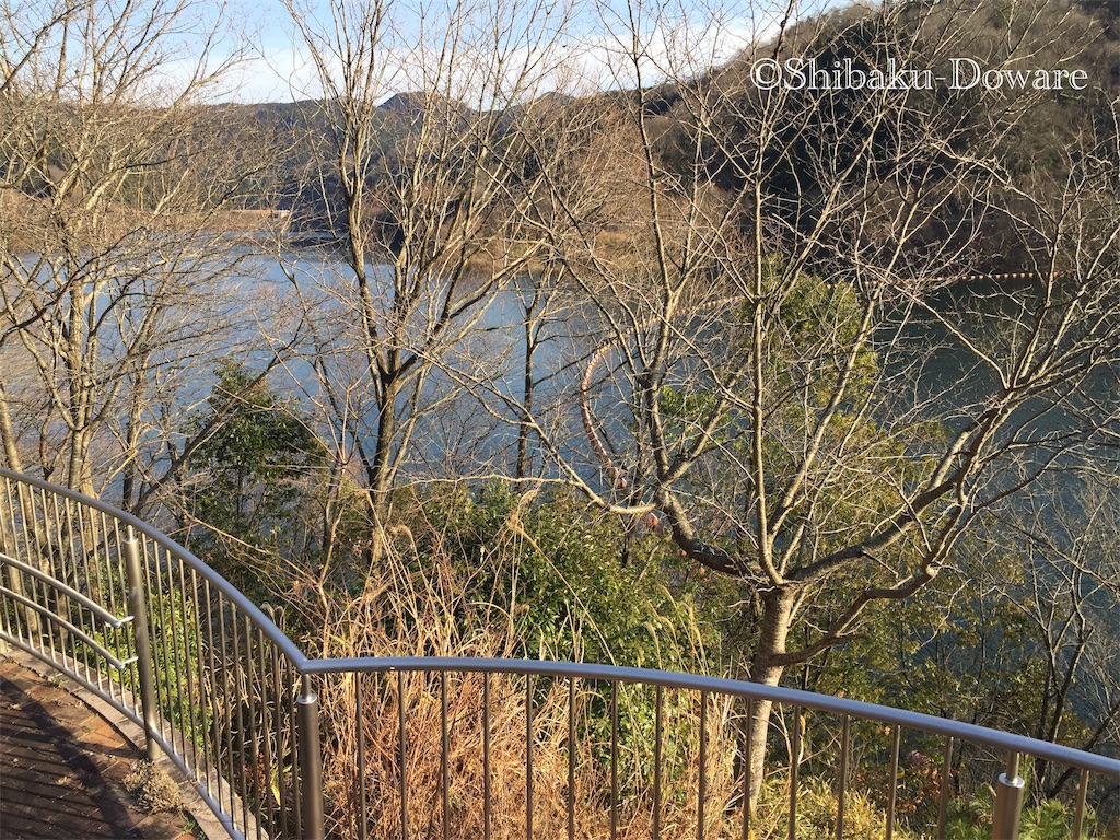 f:id:acsekitori:20200219213804j:image