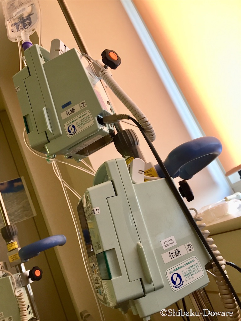 f:id:acsekitori:20200221100943j:image f:id:acsekitori:20200221100943j:image