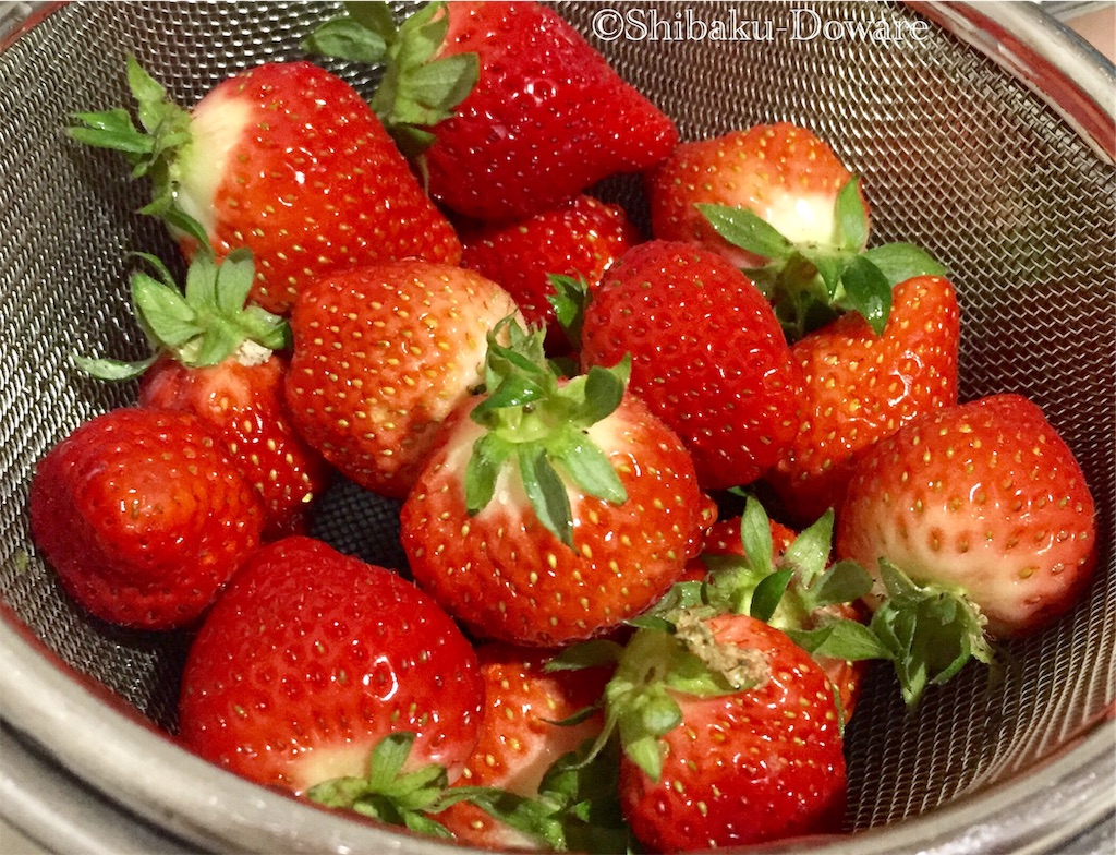 f:id:acsekitori:20200225174409j:image f:id:acsekitori:20200225174409j:image