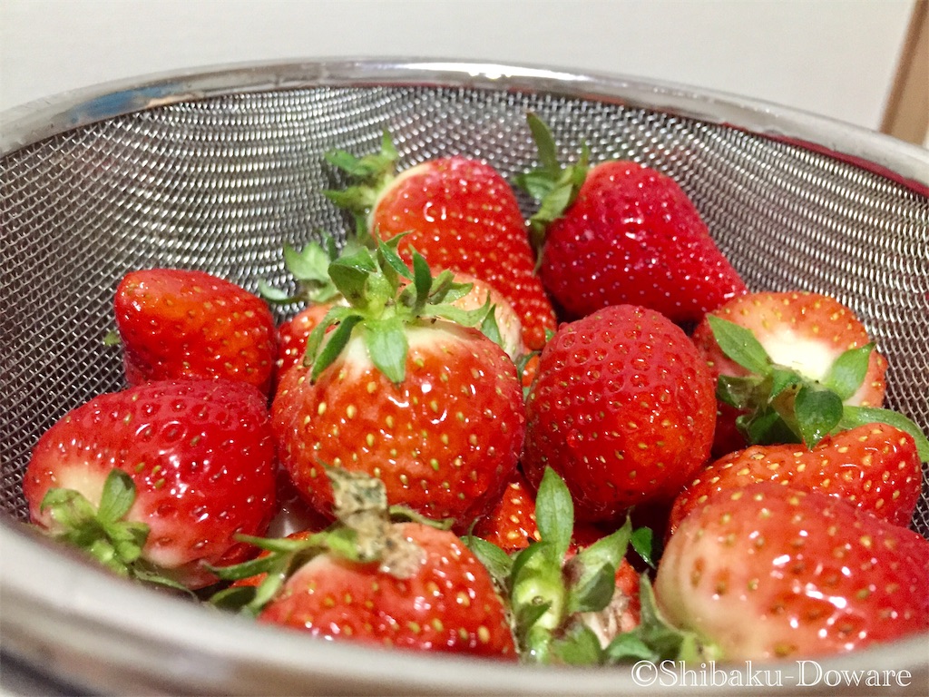 f:id:acsekitori:20200225175205j:image f:id:acsekitori:20200225175205j:image