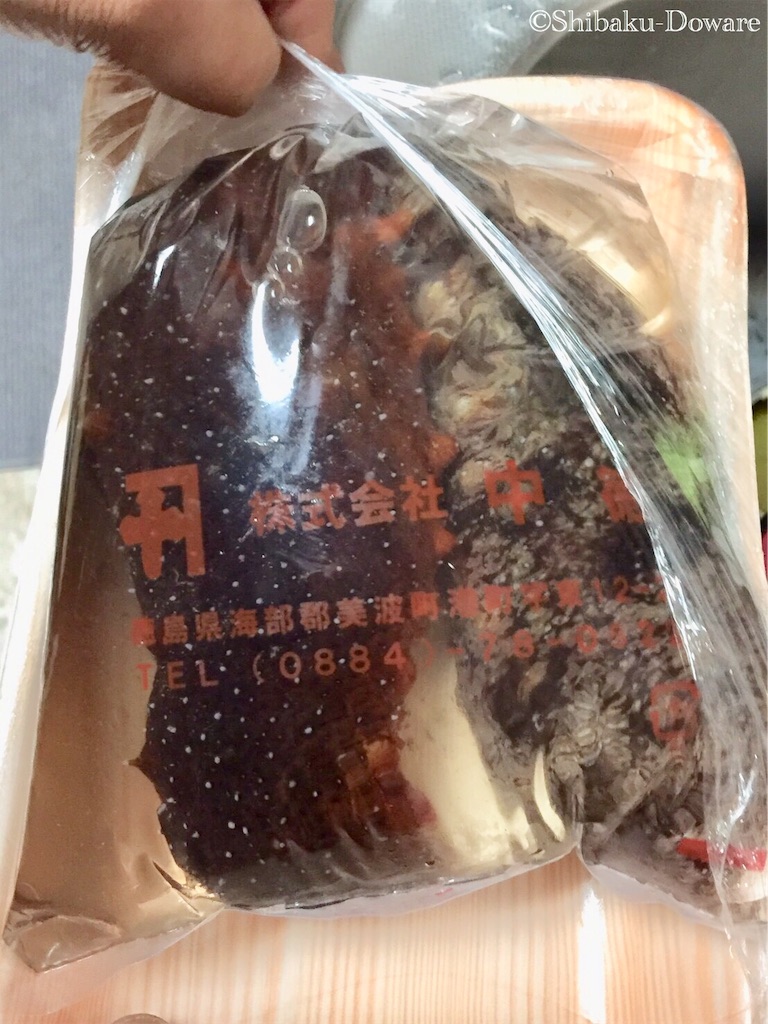 f:id:acsekitori:20200317035939j:image