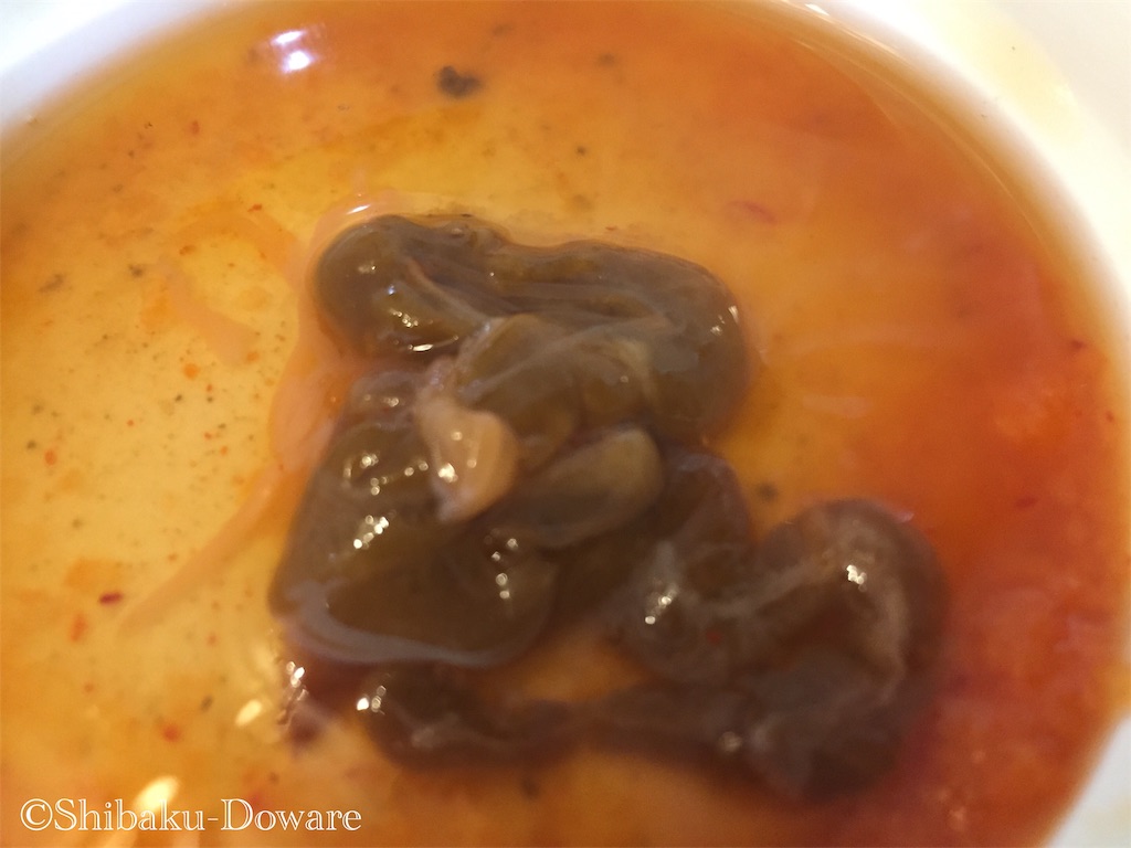 f:id:acsekitori:20200317040132j:image