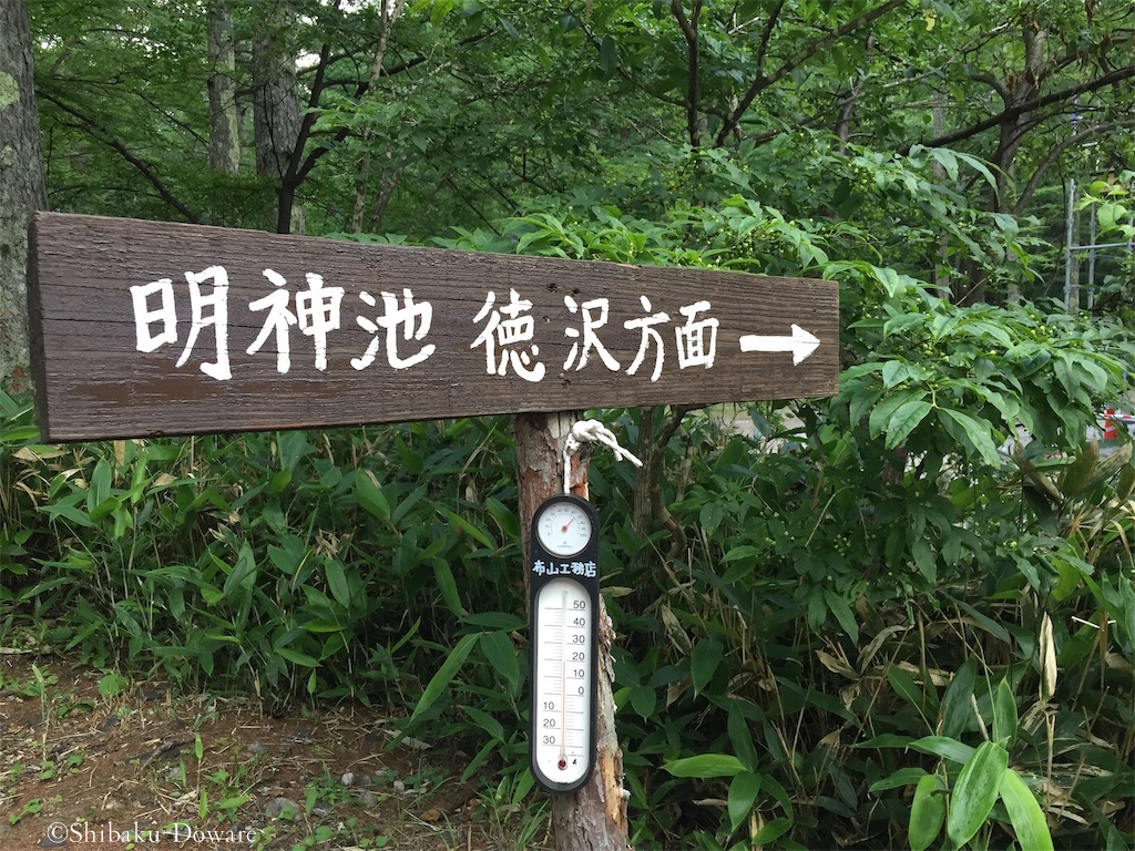 f:id:acsekitori:20200327191025j:plain f:id:acsekitori:20200327191025j:plain