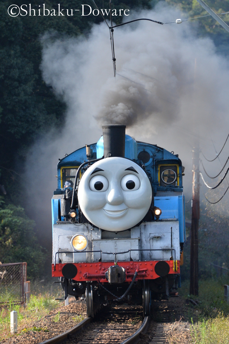 f:id:acsekitori:20200329071820j:plain