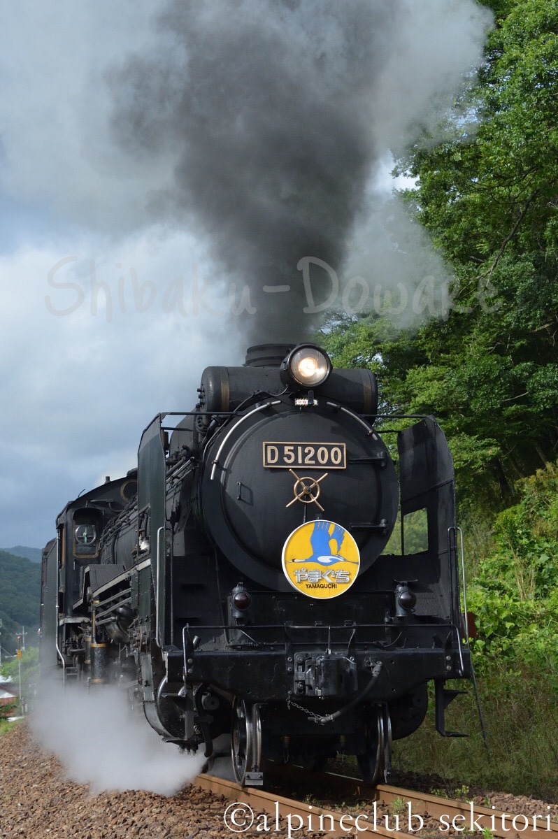 f:id:acsekitori:20200404132149j:plain