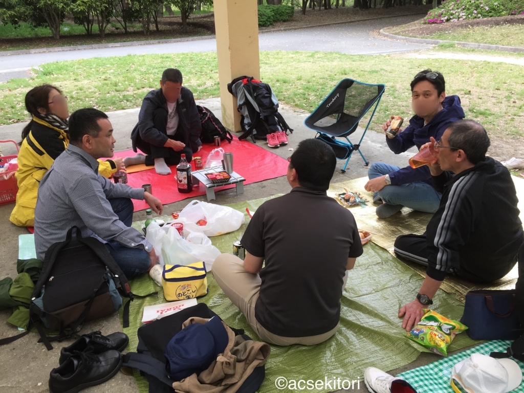 f:id:acsekitori:20200404133141j:plain