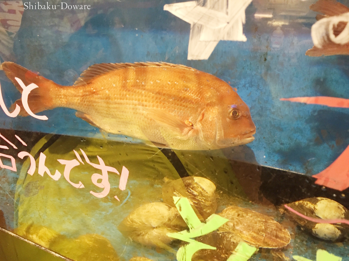 f:id:acsekitori:20200416085538j:plain