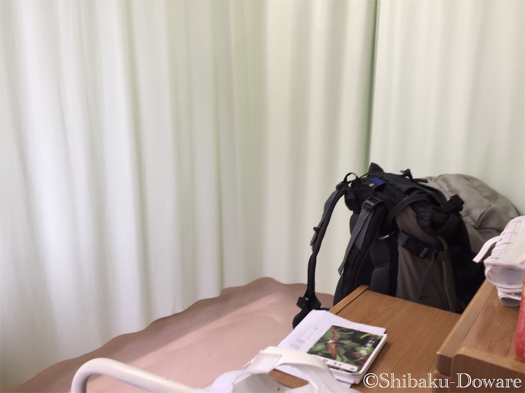 f:id:acsekitori:20200425044121j:image