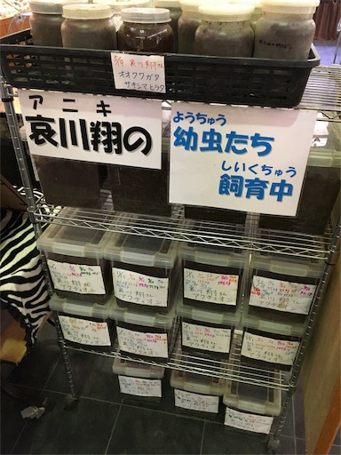 f:id:act-sapporo:20180810230623j:image