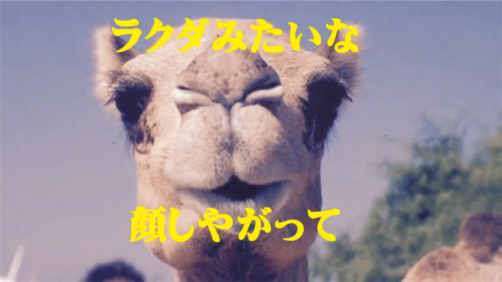 f:id:actionbeeeam3142:20190314151423p:image f:id:actionbeeeam3142:20190314151423p:image