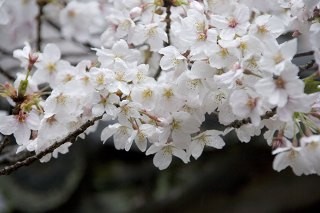 f:id:active_galactic:20140420131515j:image