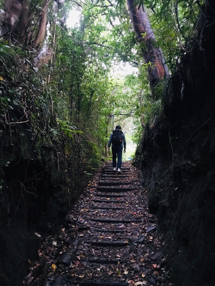 f:id:activedate:20190520021552j:plain