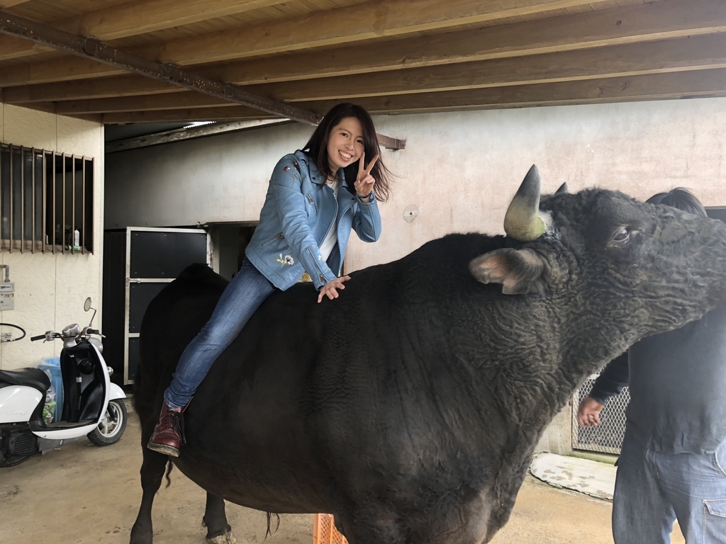 f:id:activegirlmax0:20190204101548j:plain f:id:activegirlmax0:20190204101548j:plain
