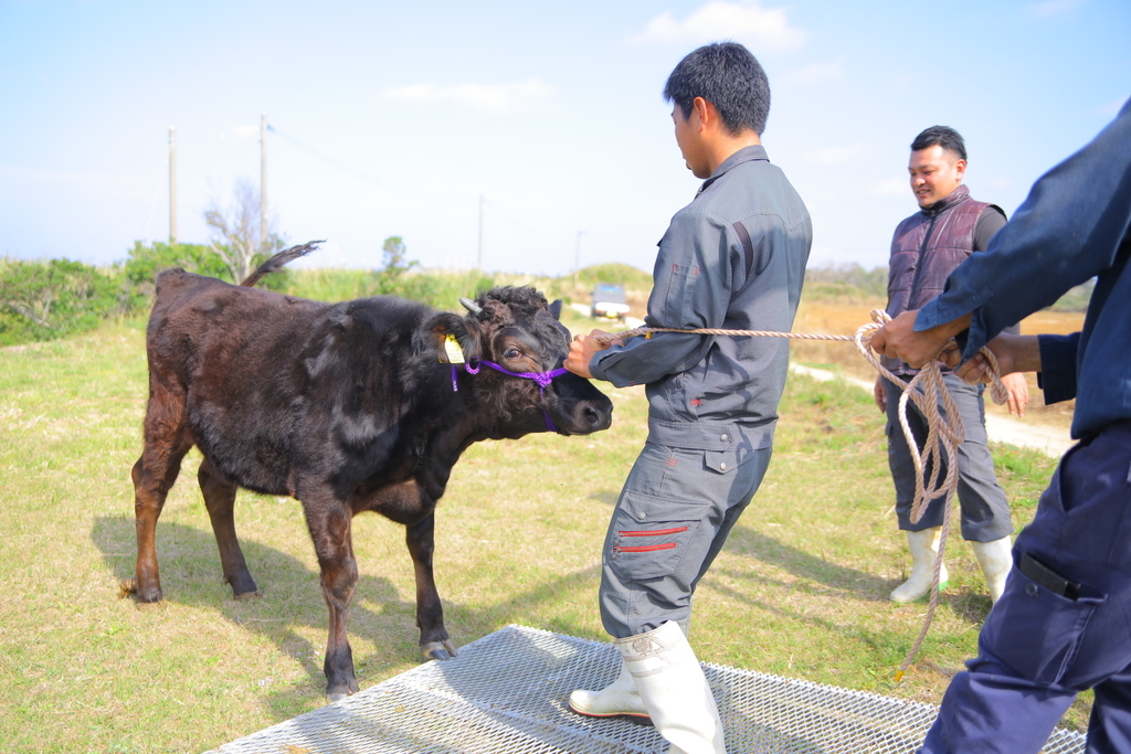 f:id:activegirlmax0:20190204104058j:plain f:id:activegirlmax0:20190204104058j:plain