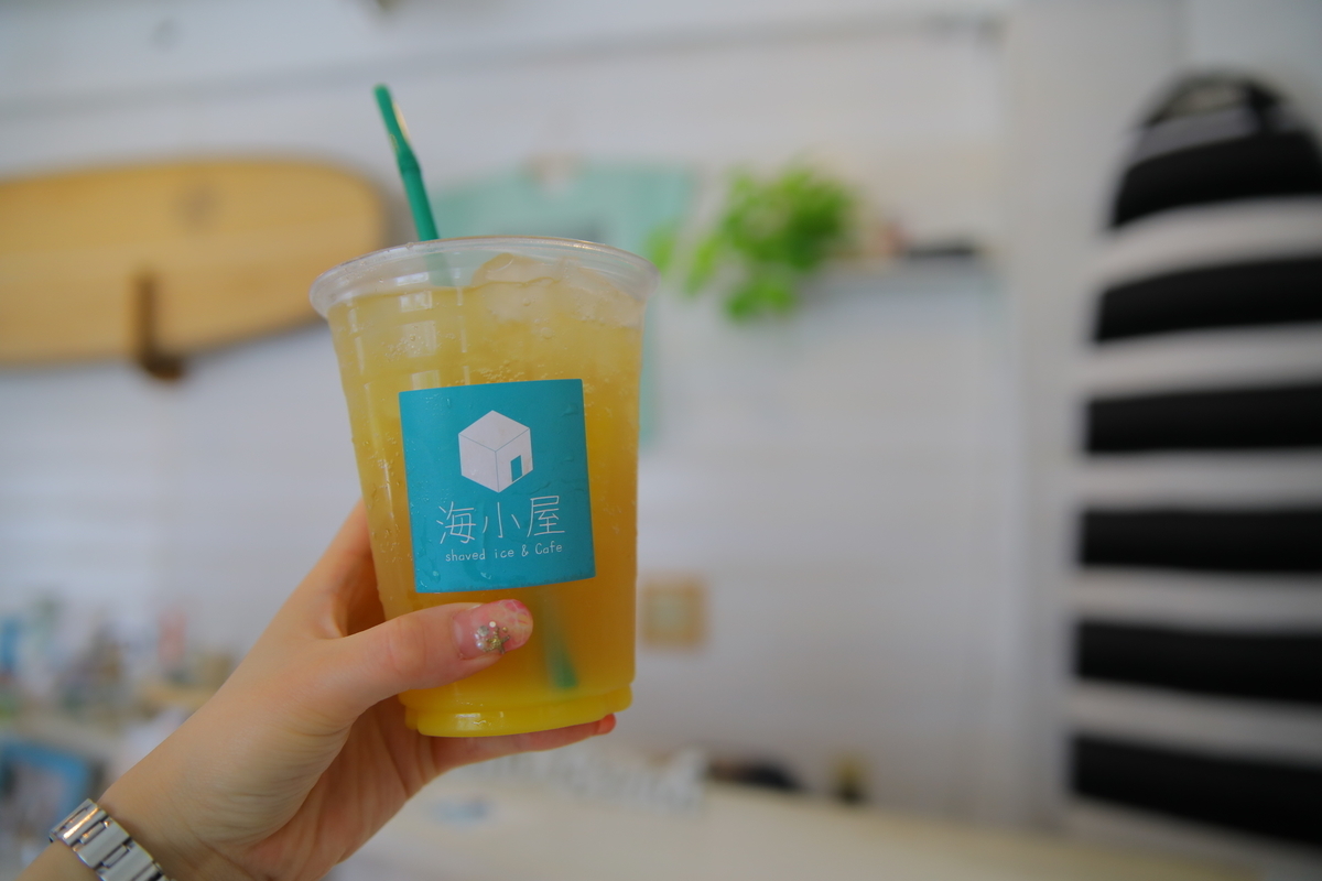 f:id:activegirlmax0:20190421170608j:plain