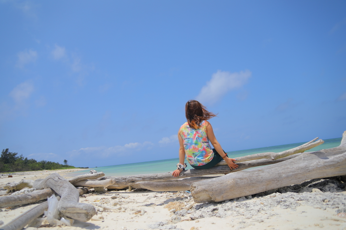 f:id:activegirlmax0:20190426214637j:plain f:id:activegirlmax0:20190426214637j:plain