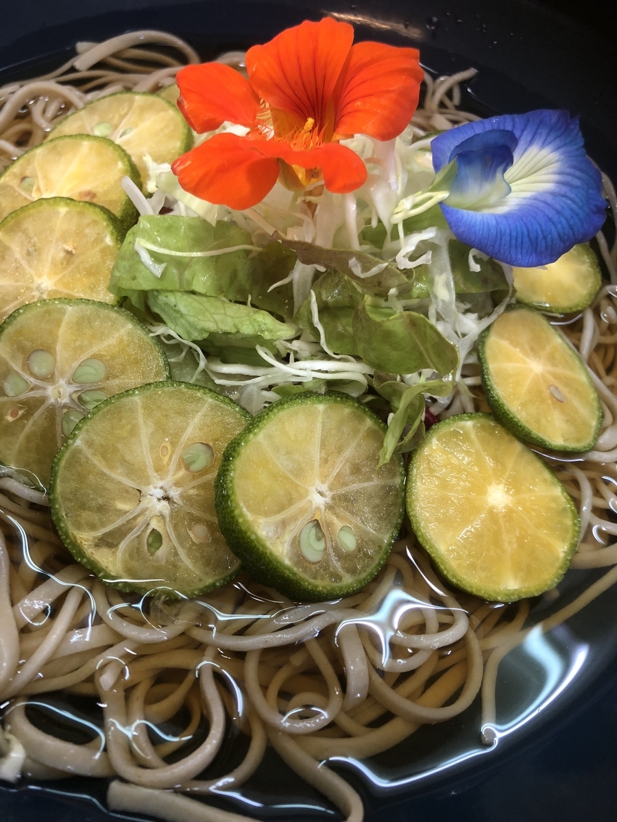 f:id:activegirlmax0:20191013165741j:plain