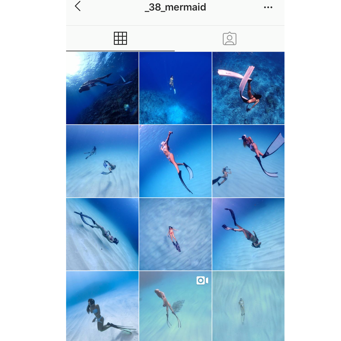 f:id:activegirlmax0:20191024102033p:plain