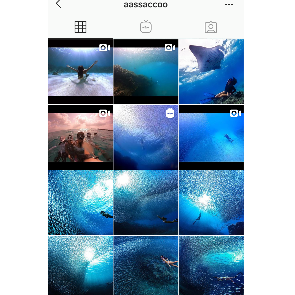 f:id:activegirlmax0:20191028132726p:plain
